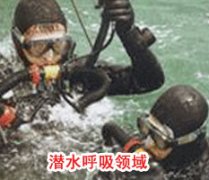 成功麻豆看片麻豆看片视频下载